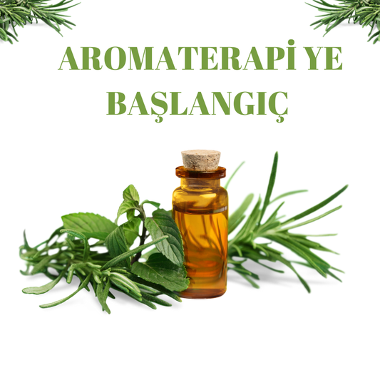 Aromaterapiye Başlangıç: Sabit Yağların Sırrı